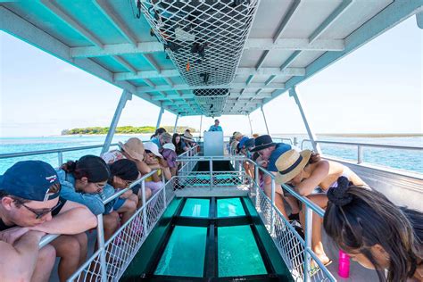 Glass Bottom Boat Barrier Reef Tour From Brisbane