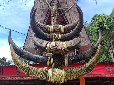 Travel Foto Mengintip Upacara Rambu Solo Ritual Pemakaman Orang Toraja Bagian Mongabay
