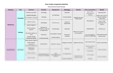 SOLUTION Cuadro Comparativo Studypool 5772 The Best Porn Website