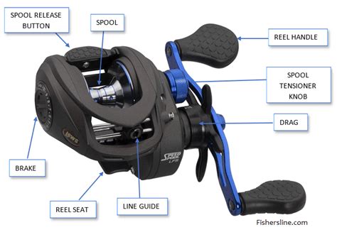 Anatomy Of A Baitcasting Reel Fishing The Anatomy Of Casting A Bait