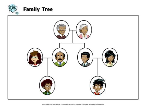 You'll start to compile your tree in no time! Family Tree | BrainPOP Educators