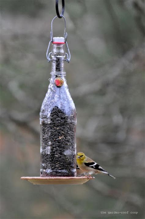 In today video you will learn how to make a simple and easy bottle bird water feeder for wild and pet birds. 12 Easy DIY Bird Feeders from Recycled Materials