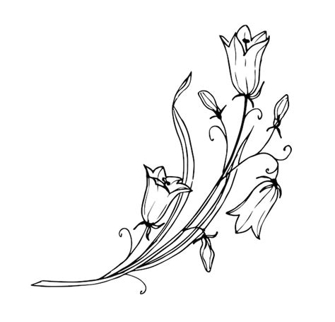 Premium Vector Bellflower On Isolated Background Hand Drawn Floral