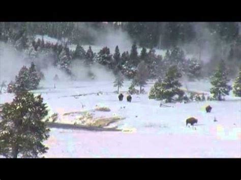 Bigfoot In Yellowstone National Park Yeah Were Skeptical Too