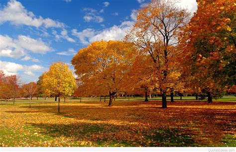 Windows Xp Autumn Wallpapers Wallpaper 1 Source For Free Awesome