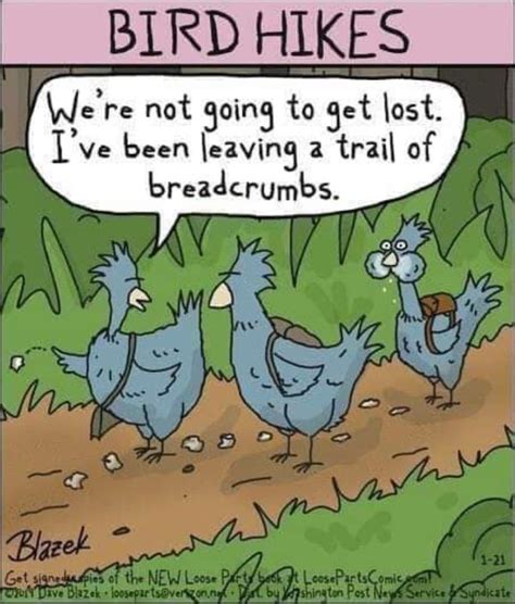 Bird Jokes For Adults Birdbb