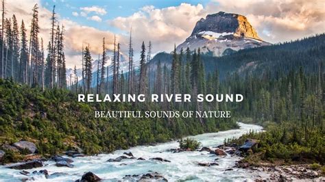 Relaxing River Sound Peaceful River Sleep Relax Study Youtube