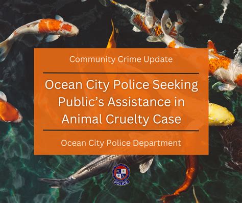 Ocean City Police Seeking Publics Assistance In Animal Cruelty Case