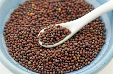 Mustard Seeds Benefits For Healthskin And Hair