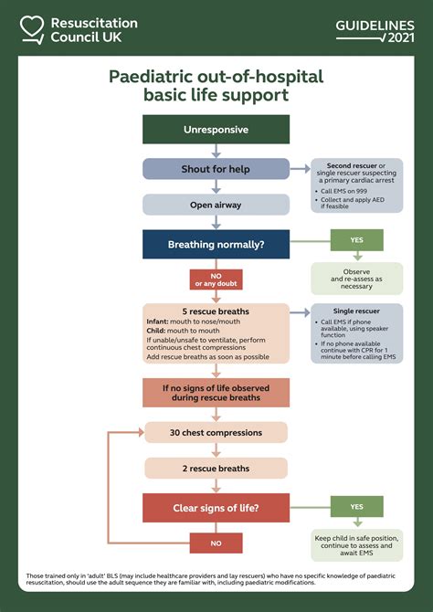 What Is Basic Life Support