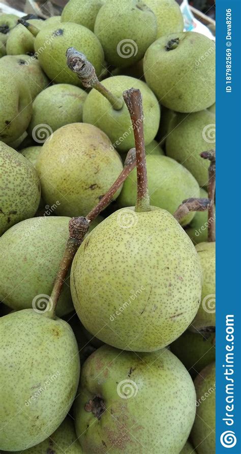 Fear Fruits Green Color Sweet And Health Fruits Stock Image Image Of