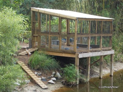 Maybe you would like to learn more about one of these? 37 Free DIY Duck House / Coop Plans & Ideas that You Can Easily Build