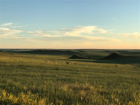 Nebraska National Forests And Grasslands Oglala National Grasslands