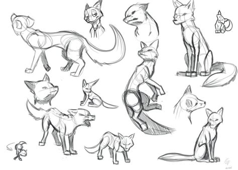 As Much As Ive Drawn The Faces Of Many Animals I Havent Really Drawn