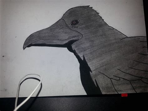 I Attempted To Draw Itachis Crow What Do You Guys Think