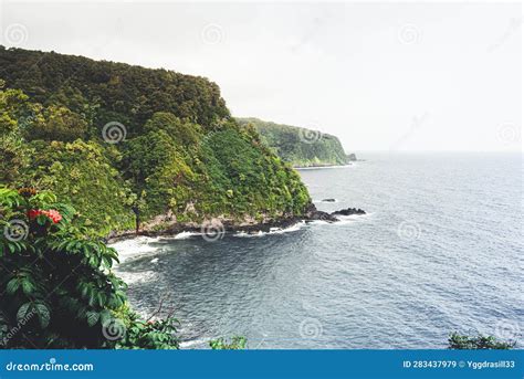 Cliffs Covered In Jungle Vegetation On The Shore Of Maui Stock Image