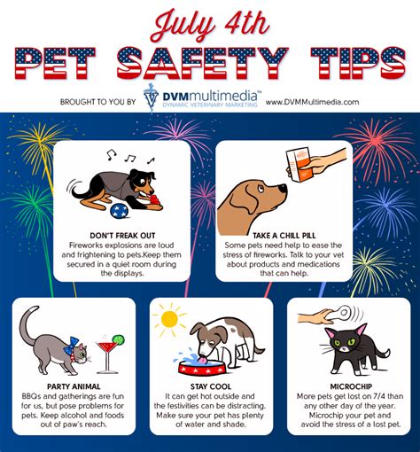 July 4th Pet Safety Tips Back Bay Veterinary Hospital