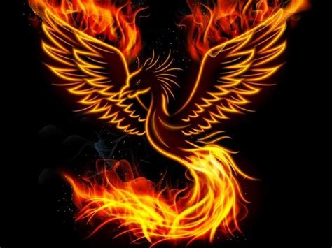 Download 7,408 phoenix bird images and stock photos. Fire burning Phoenix Bird | Phoenix bird tattoos, Phoenix ...