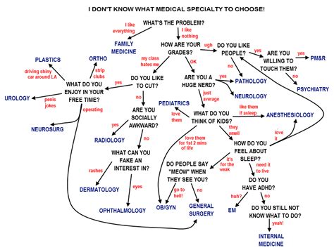 A Cartoon Guide To Becoming A Doctor Medical Specialties