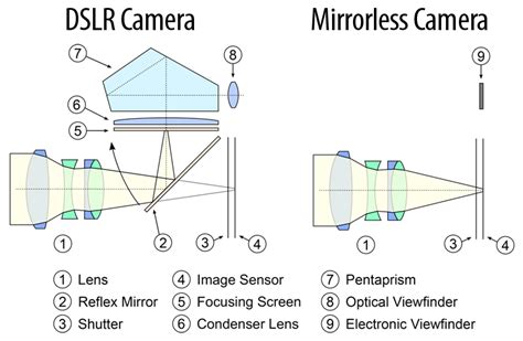 A mirrorless camera body is littler than a dslr, with more straightforward development. What is a Mirrorless Camera?