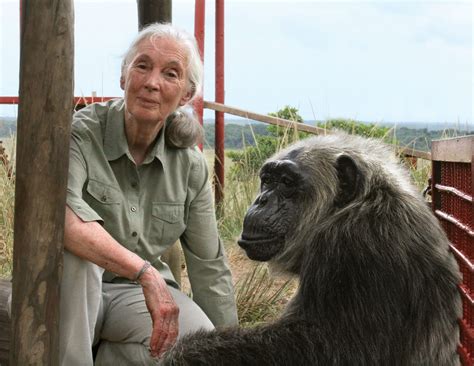 While some naming trends are gaining strength, others are waning. Jane Goodall | Biography, Awards, Books, & Facts | Britannica