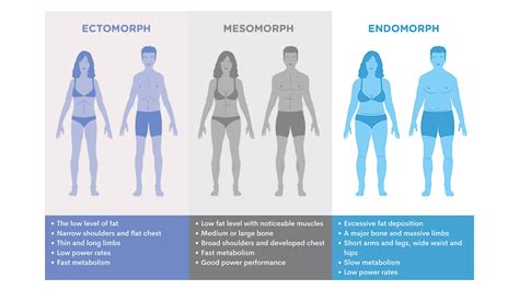 Mesomorph Body Type Characteristics