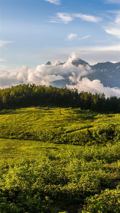 Landscape View Of Fog Covered Mountains And Green Trees Under Cloudy