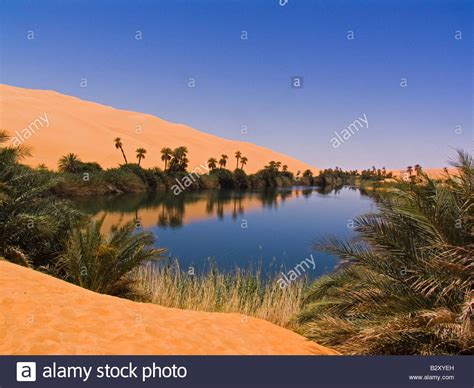 See traveler reviews, candid photos, and great deals for oasis africa bnb, ranked #160 of 468 b&bs / inns in nairobi and rated 4 of 5 at tripadvisor. africa, libya, desert, oasis of un alma Stock Photo ...