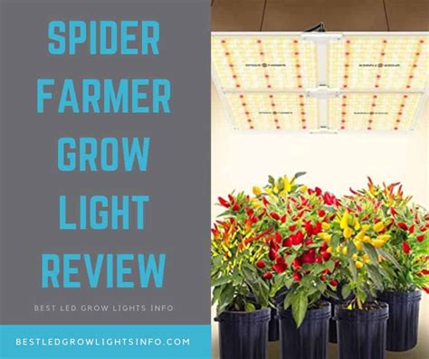 It moderate diodes ensures a better light the solid sf 4000 led grow light comes with the very good build quality. Spider Farmer SF-4000 LED Grow Light Review - Best LED ...