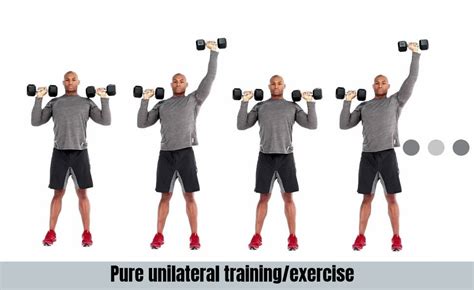 Unilateral Training Pros And Cons Bodybuilding Wizard