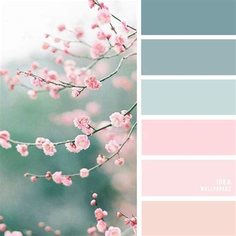 19 The Perfect Pink Color Combinations Blush Light Blue Blue
