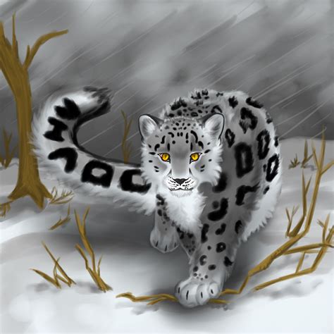 Snow Leopard By Scarletwolff On Deviantart