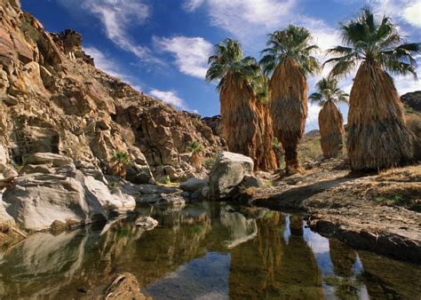 Visit Palm Springs on a trip to California | Audley Travel