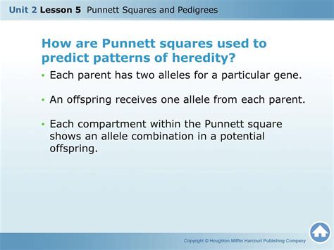 unit 2 lesson 5 punnett squares and pedigrees ppt download