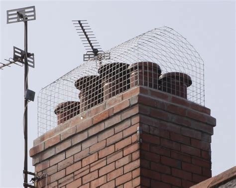 Greenville, sc pest control services. Prevent gulls nesting on a chimney with a chimney cage ...