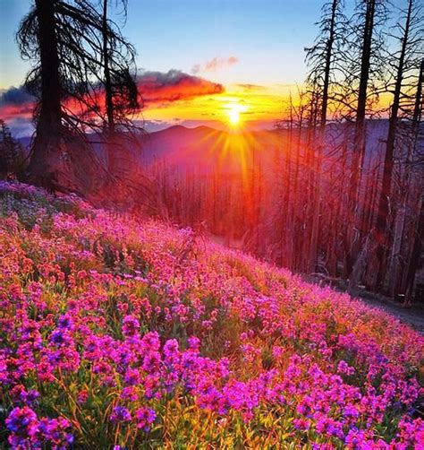 56 Beautiful Sunrises And Sunsets Photography Beautiful Nature