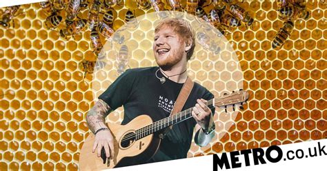 Ed Sheeran Turns To Beekeeping At His Suffolk Home During Music Break