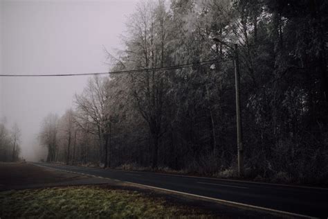 Gray Asphalt Road Between Bare Trees Under Gray Sky · Free Stock Photo
