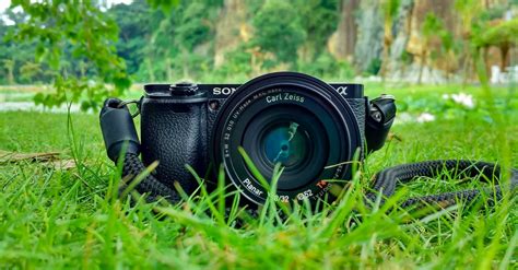 Black Sony Dslr Camera on Green Grass in Front of Brown ... A collection of the top 71 4k programming wallpapers and backgrounds available for download for free.
