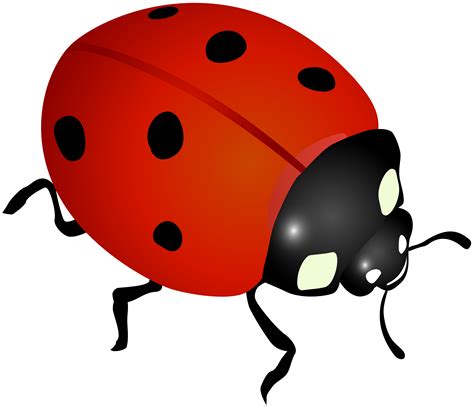 Ladybug Clip Art Image Gallery Yopriceville High Quality Images And