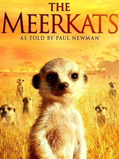 The Meerkats 2008 Rotten Tomatoes