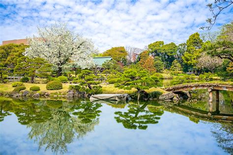 Best Parks In Tokyo Lonely Planet