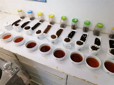 Tea Grading For Bulk Export Understanding The Grades Of Black And