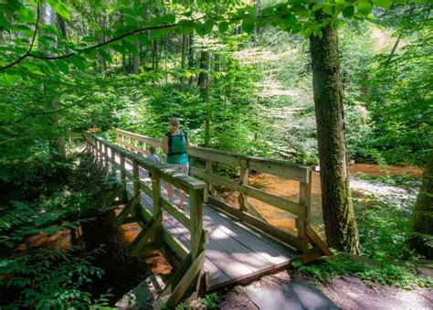 Camping At Ricketts Glen State Park Everything You Need To Know