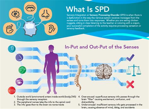 Sensory Processing Disorder Chicago North Shore Pediatric Therapy