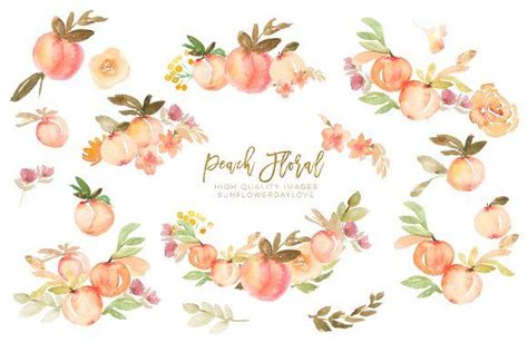 Peaches Watercolour Floral Floral Watercolor Wreath Clip Art
