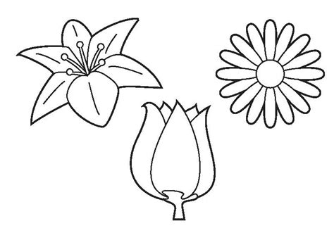 57 de nieuwste kleurplaat bos bloemen divers kleurplaatunicornorg. Kleurplaat bloemen | Bloemen | Pinterest