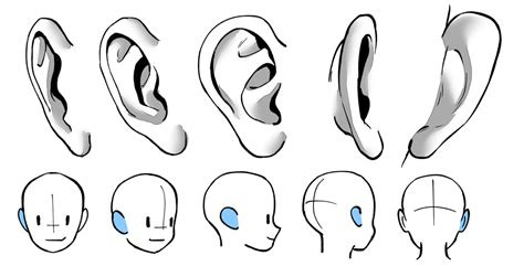 Guide To Drawing Ears Art Rocket Ear Art How To Draw Ears Art