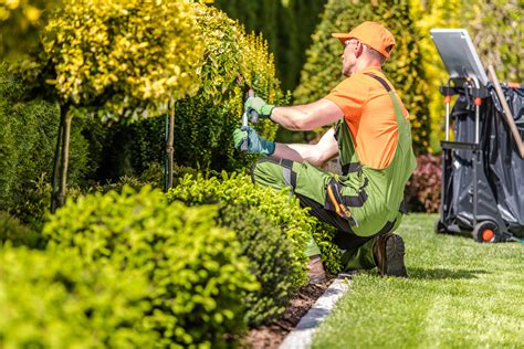Lawn Care Options In Vancouver Vim Beget