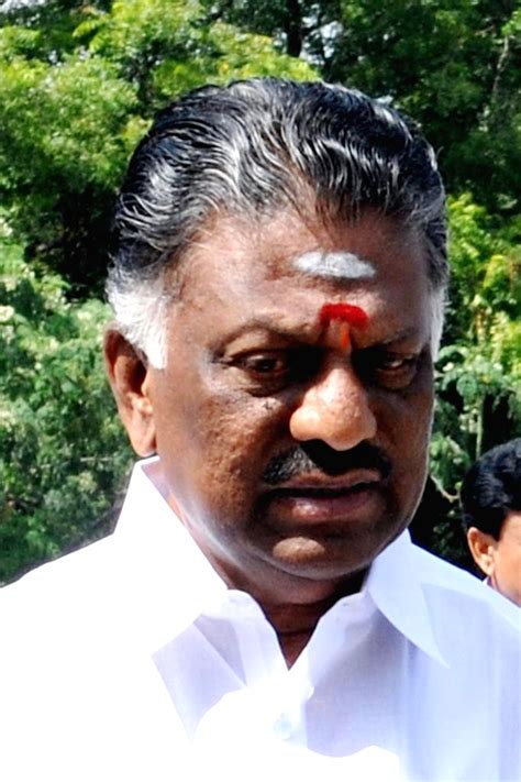 Panneerselvam Sworn In As Tamil Nadu Chief Minister